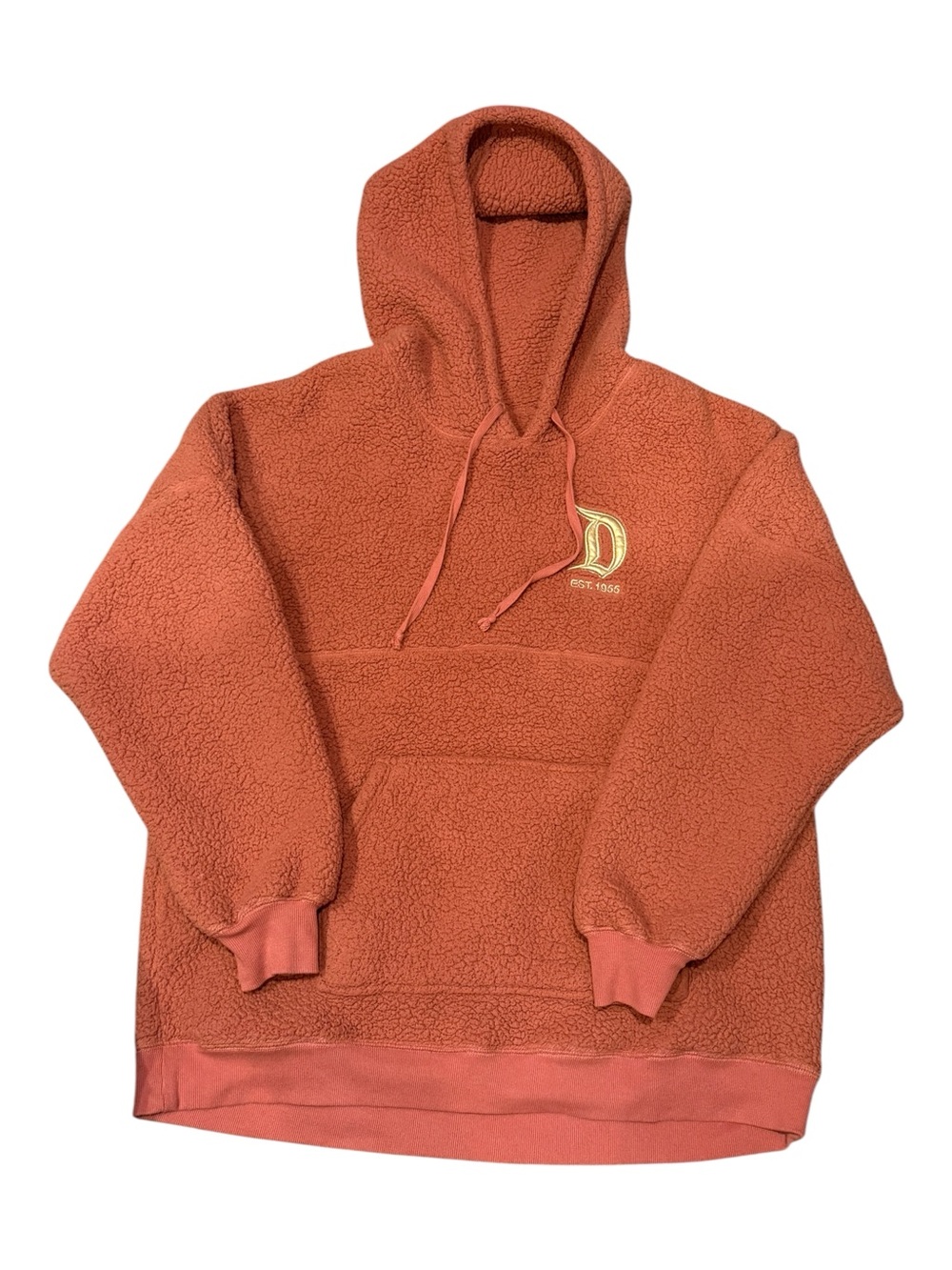 Disney Spirit Jersey Disneyland Resort Hoodie Sz XXL